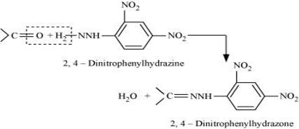 NCERT Solutions Class 12 Chemistry Chapter 8 - Aldehydes, Ketones & Carboxylic Acids